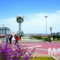 진달래광장