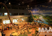 자공공룡박물관
