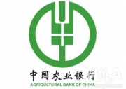 중국농업은행(진자제출장소)