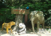 상해동물원